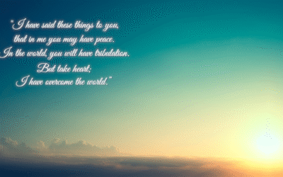 Bonus Blog – The Eyewitness Testimony of Dr Reina Michaelson